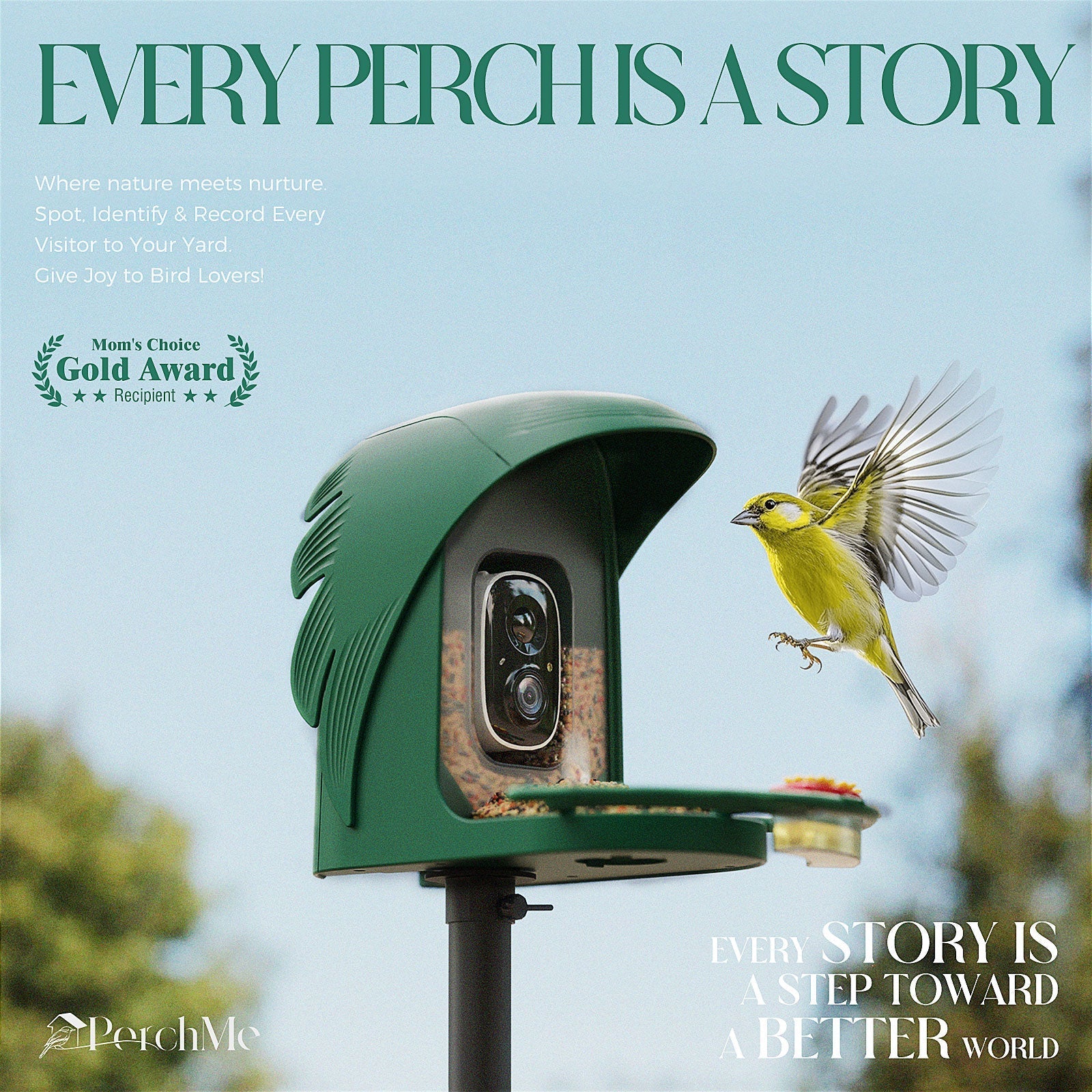 Gift for Bird Lovers: Why $90 PerchMe Beats $300 Premium Feeders (According to Actual Users)