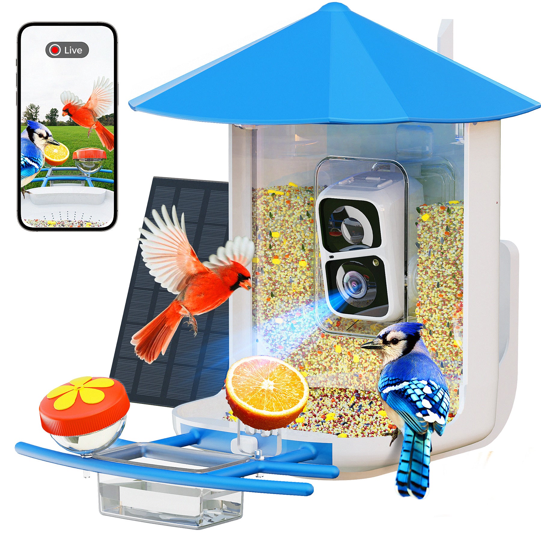 PerchMe Smart Bird Feeder with AI Camera & Solar Panel Vermillion & Azure Canopy
