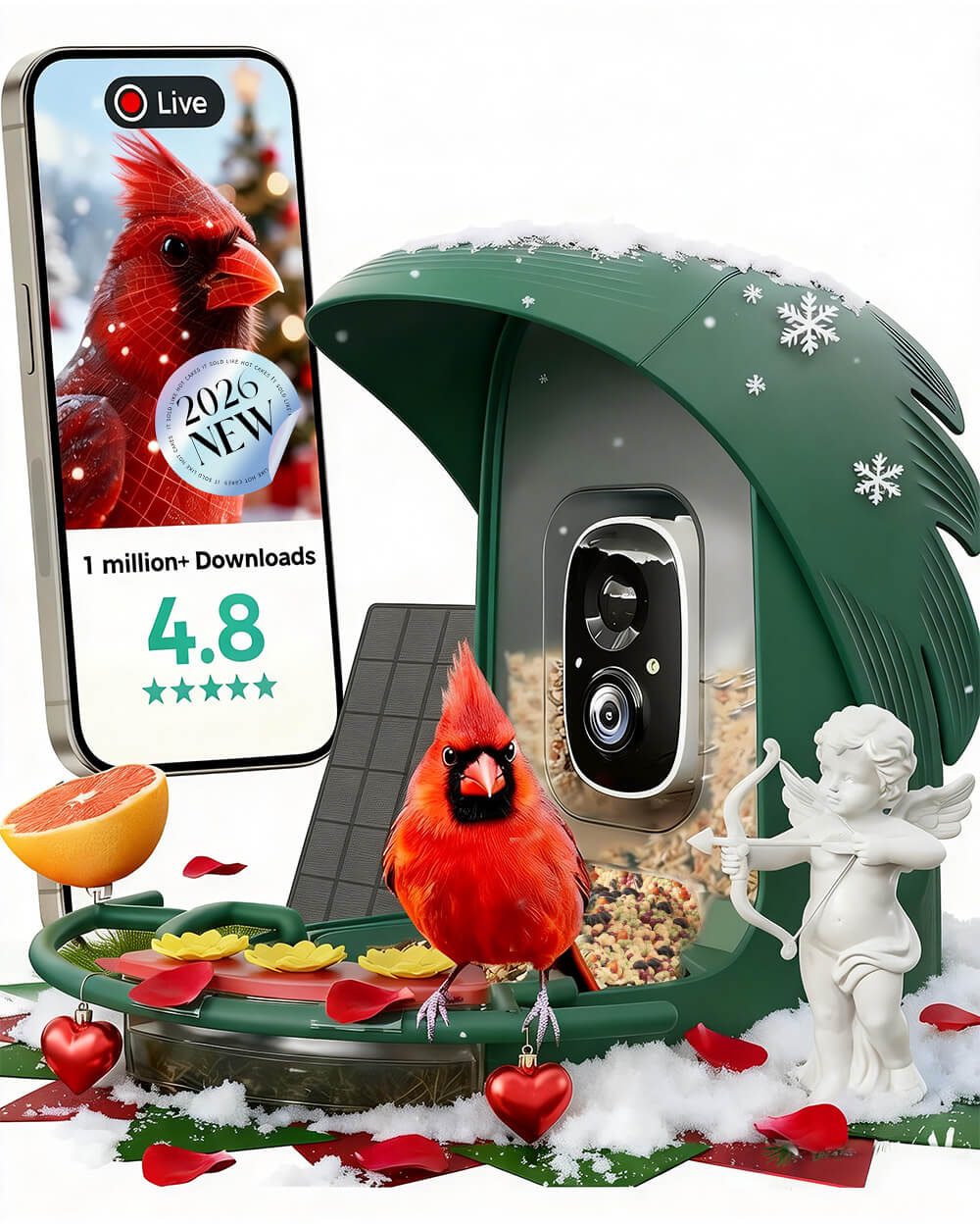 PerchMe Smart Bird Feeder - 2K AI Camera, Solar Power, Perfect Gift for Parents
