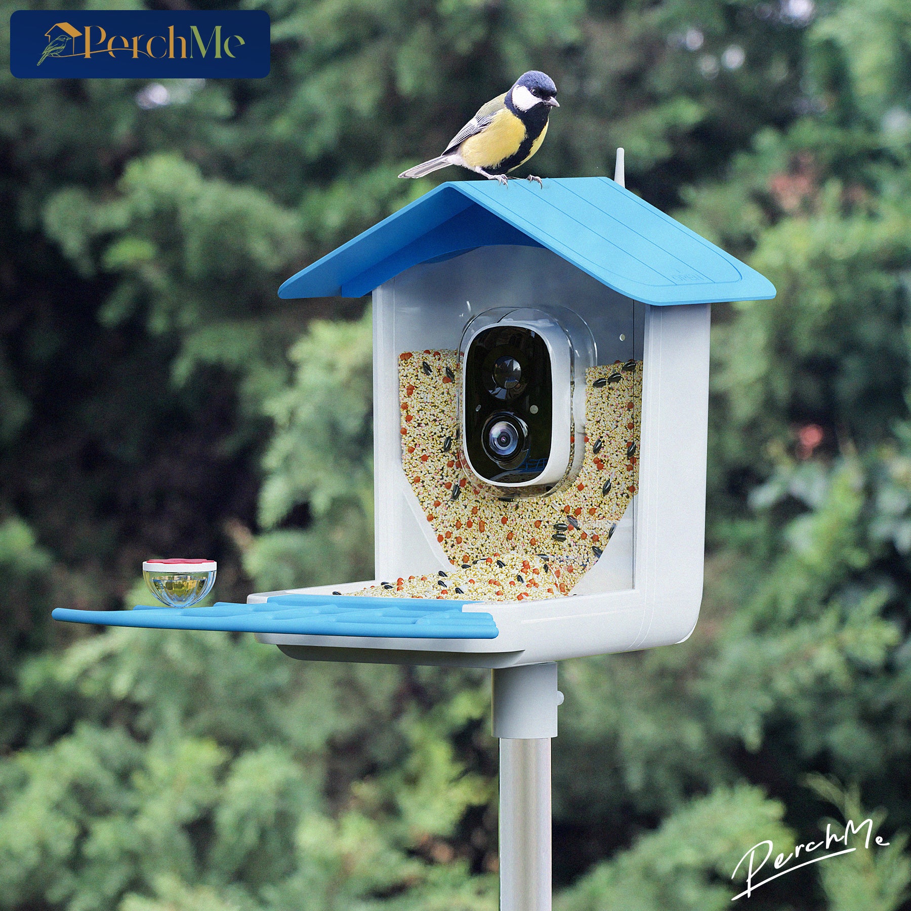 PerchMe Smart Bird Feeder Camera Wireless, Solar Powered, AI Recognition, Auto Capture & App Notify