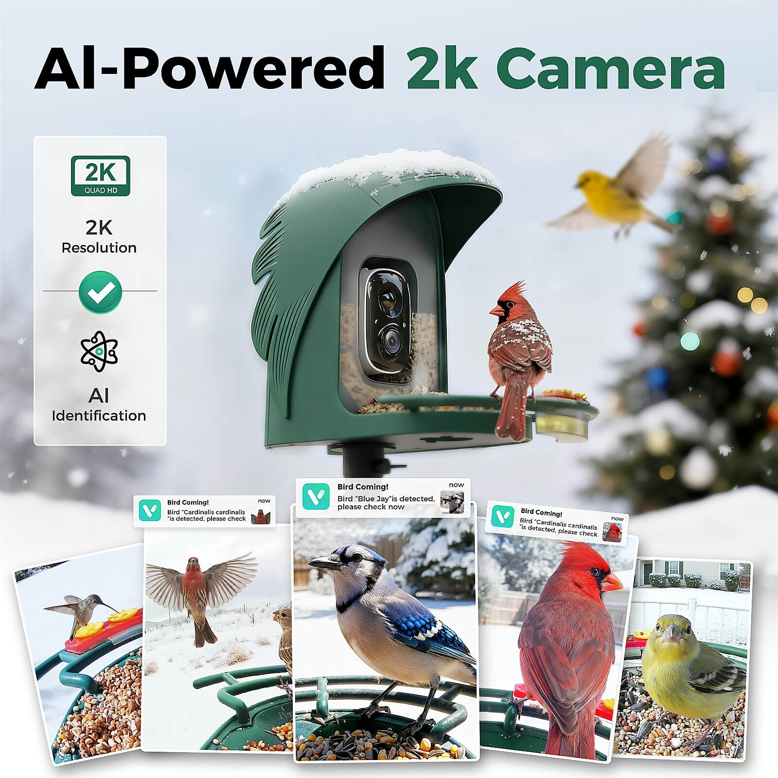 PerchMe Smart AI Bird Feeder & Pole Bundle - Solar-Powered 2K AI Camera + Heavy-Duty Adjustable Squirrel-Proof Bird Feeder Pole