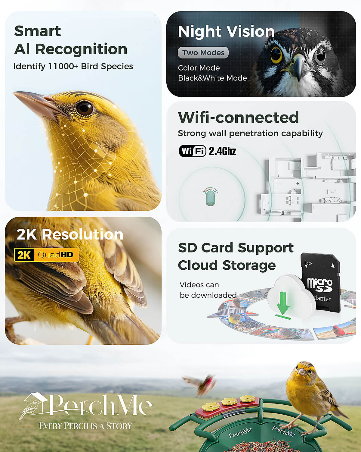 PerchMe Smart Bird Feeder - 2K AI Camera, Solar Power, Perfect Gift for Parents