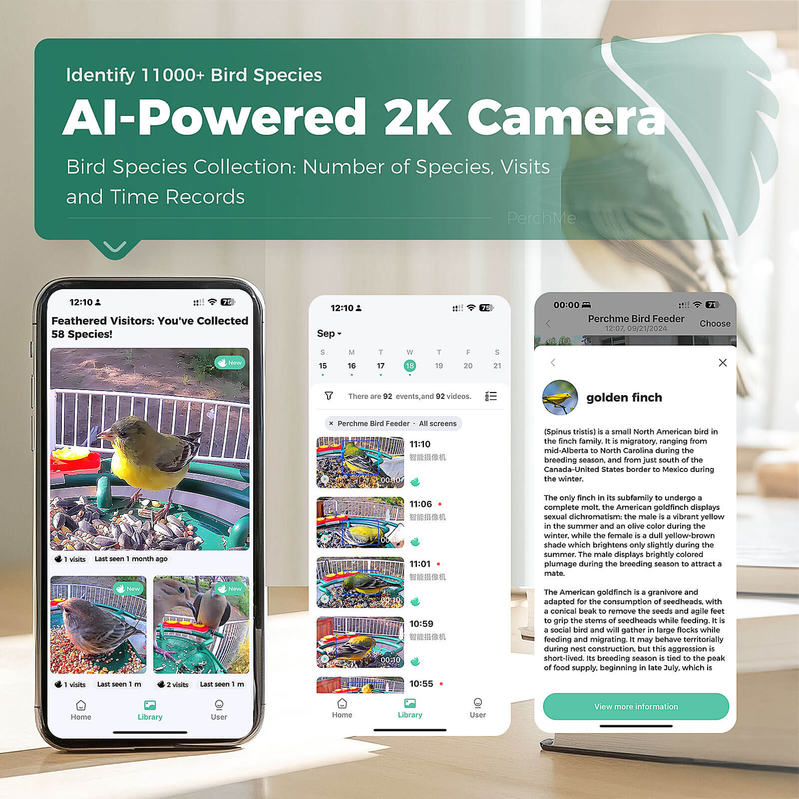 PerchMe Smart AI Bird Feeder & Adjustable Solar Panel Bracket Bundle