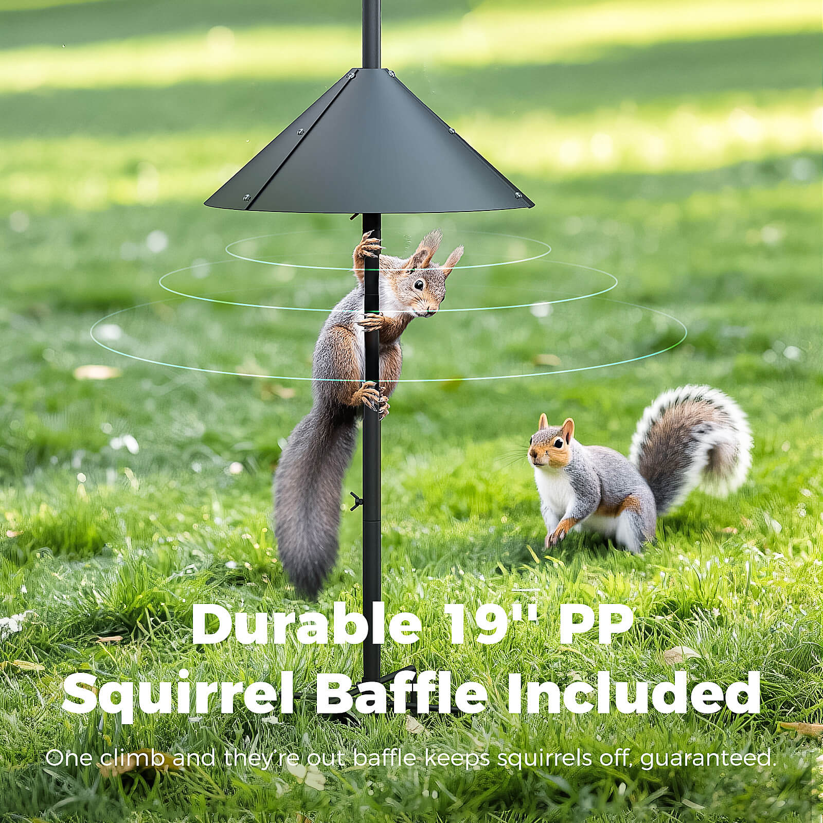PerchMe Smart AI Bird Feeder & Pole Bundle - Solar-Powered 2K AI Camera + Heavy-Duty Adjustable Squirrel-Proof Bird Feeder Pole