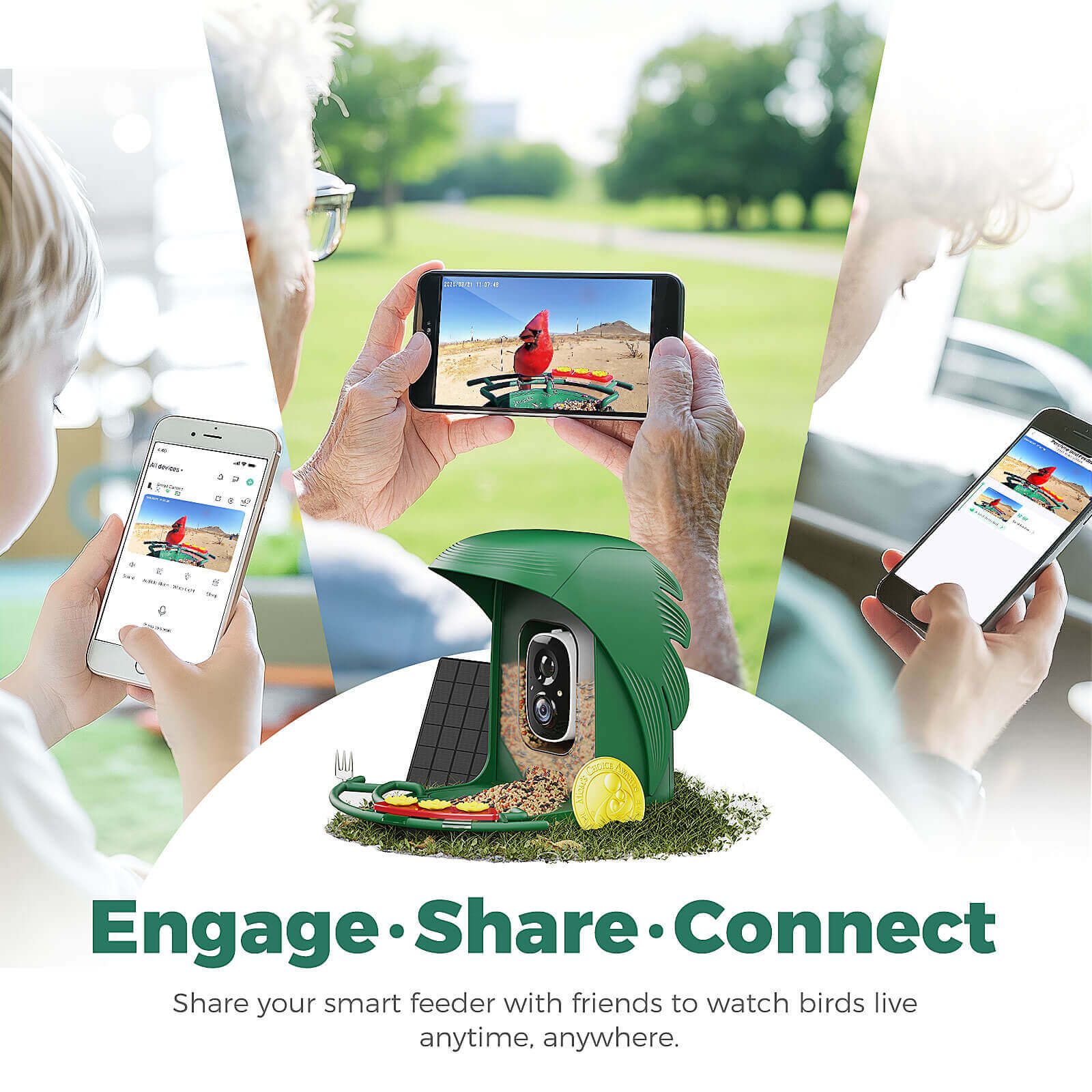 PerchMe Smart AI Bird Feeder & Pole Bundle - Solar-Powered 2K AI Camera + Heavy-Duty Adjustable Squirrel-Proof Bird Feeder Pole