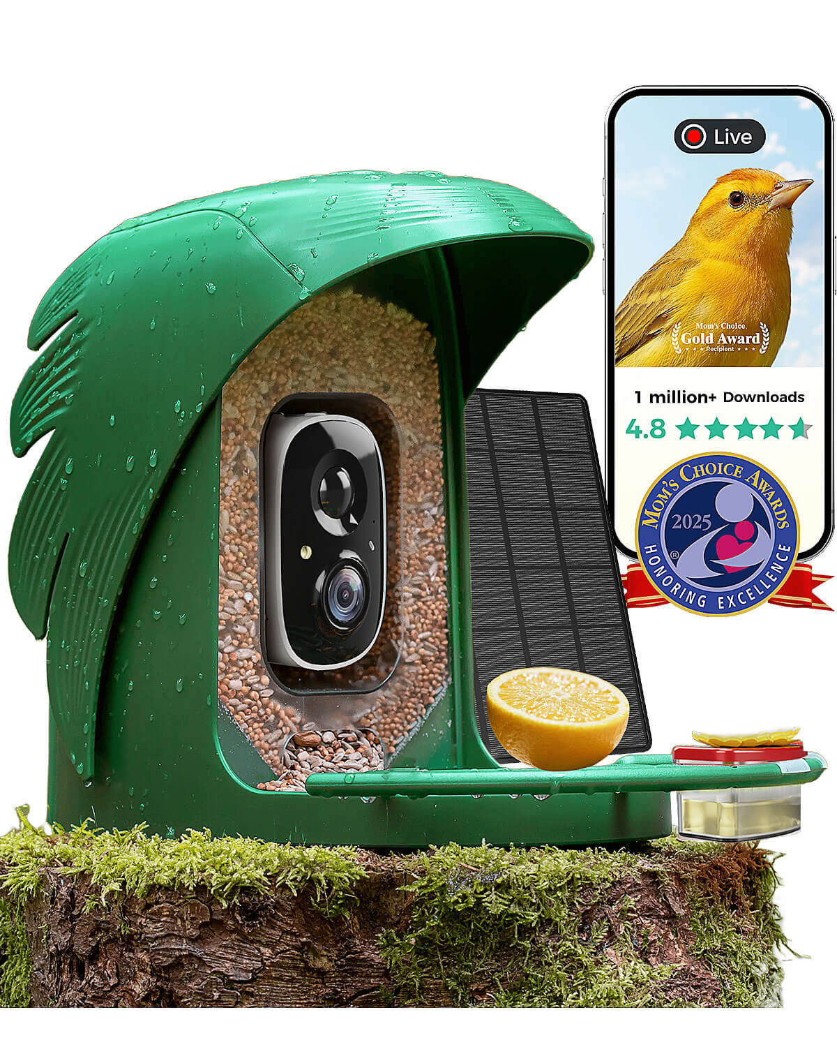 PerchMe Smart Bird Feeder Camera – 2K AI, Solar Powered, Perfect Gift for Bird Lovers