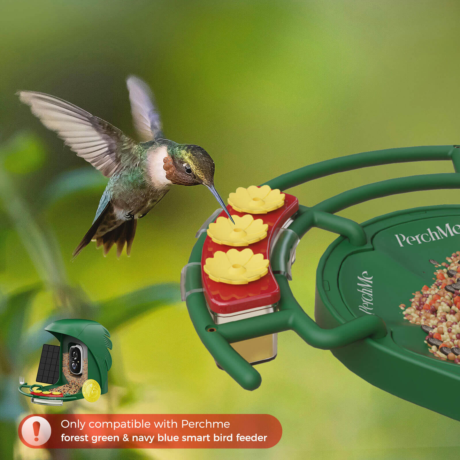 Perchme Hummingbird Feeder Perch, Compatible with Perchme, Attract Hummingbirds, Ideal Gift for Hummingbird Lovers