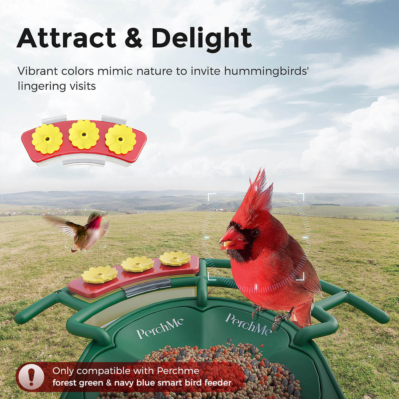 Perchme Hummingbird Feeder Perch, Compatible with Perchme, Attract Hummingbirds, Ideal Gift for Hummingbird Lovers