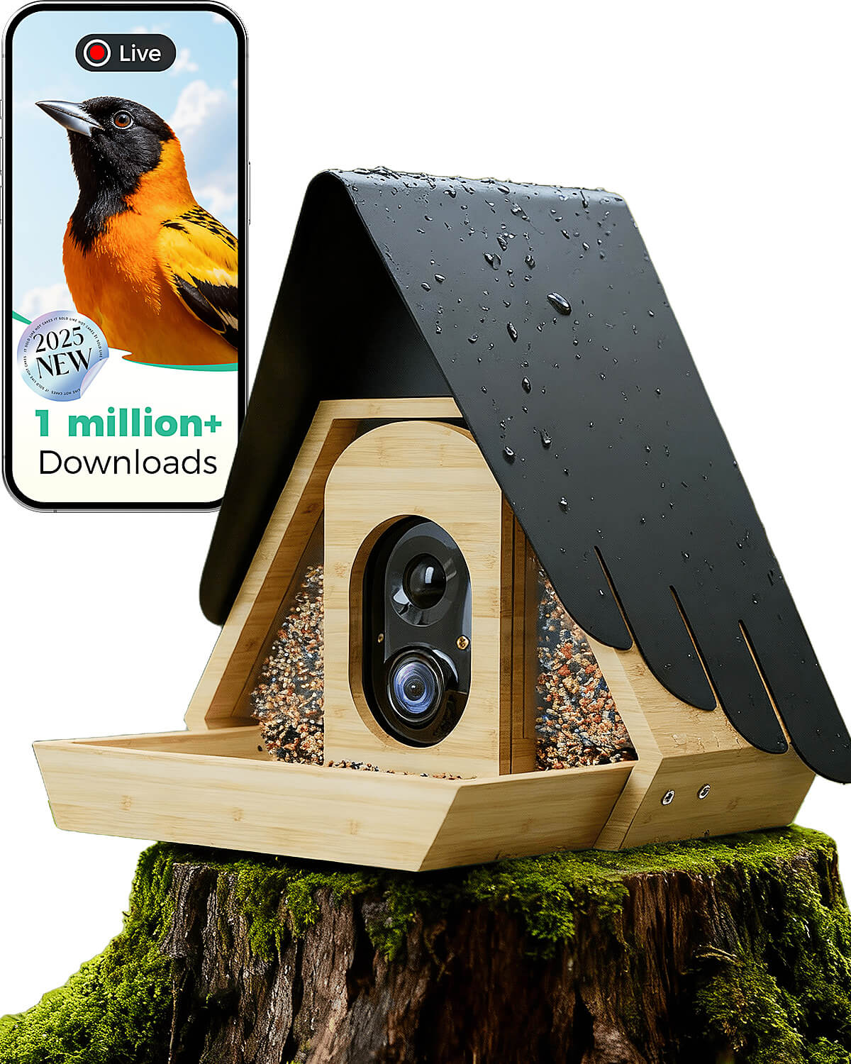 PerchMe® Bamboo Smart Bird Feeder with 2K AI Camera – FSC-Certified, Solar Powered, Eco-Friendly Gift for Bird Lovers (64G SD Card Included)