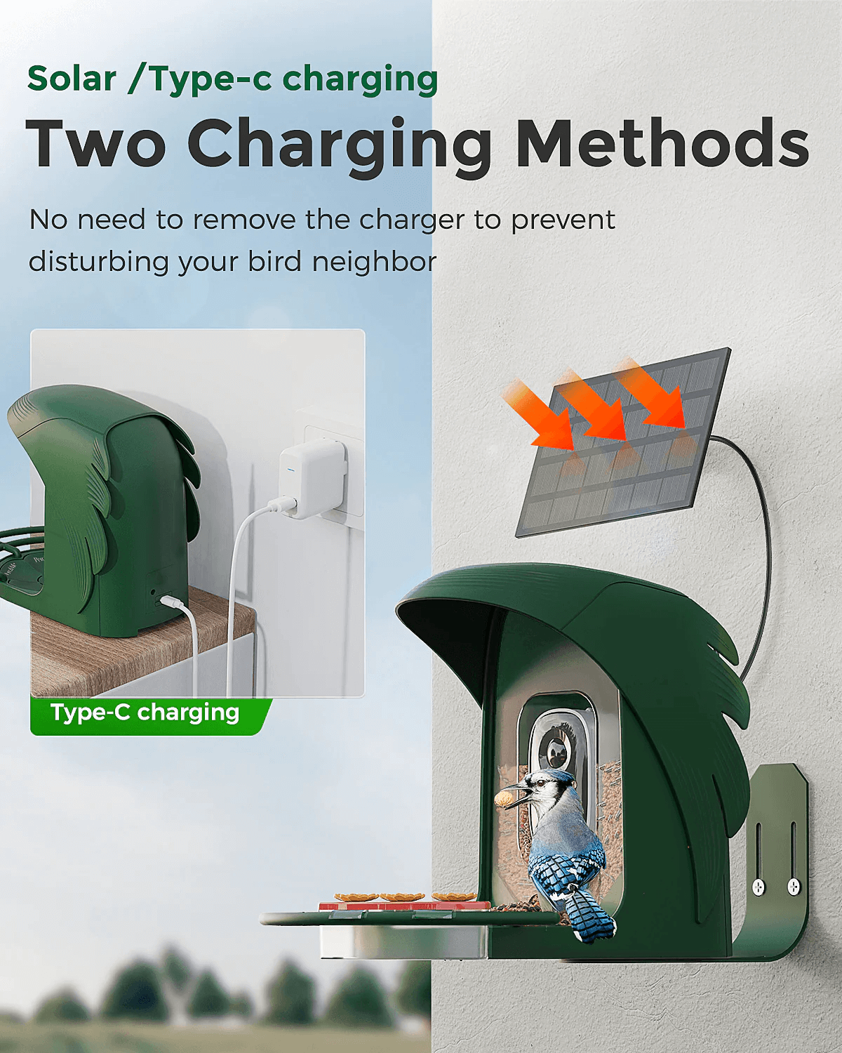 PerchMe Smart Bird Feeder with Camera,2K,Solar Powered, AI Recognition,Great Gift for Bird Lovers