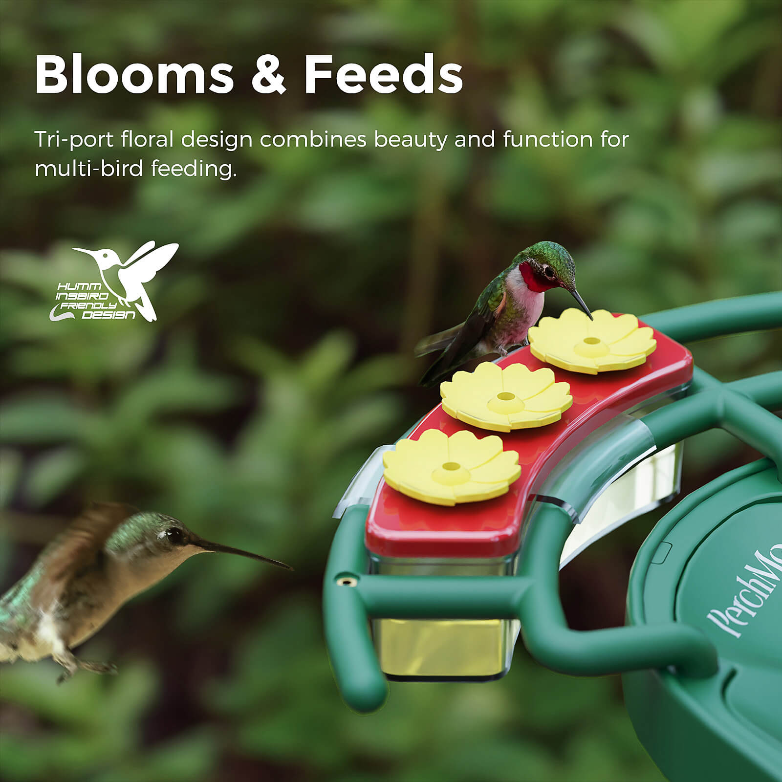 Perchme Hummingbird Feeder Perch, Compatible with Perchme, Attract Hummingbirds, Ideal Gift for Hummingbird Lovers