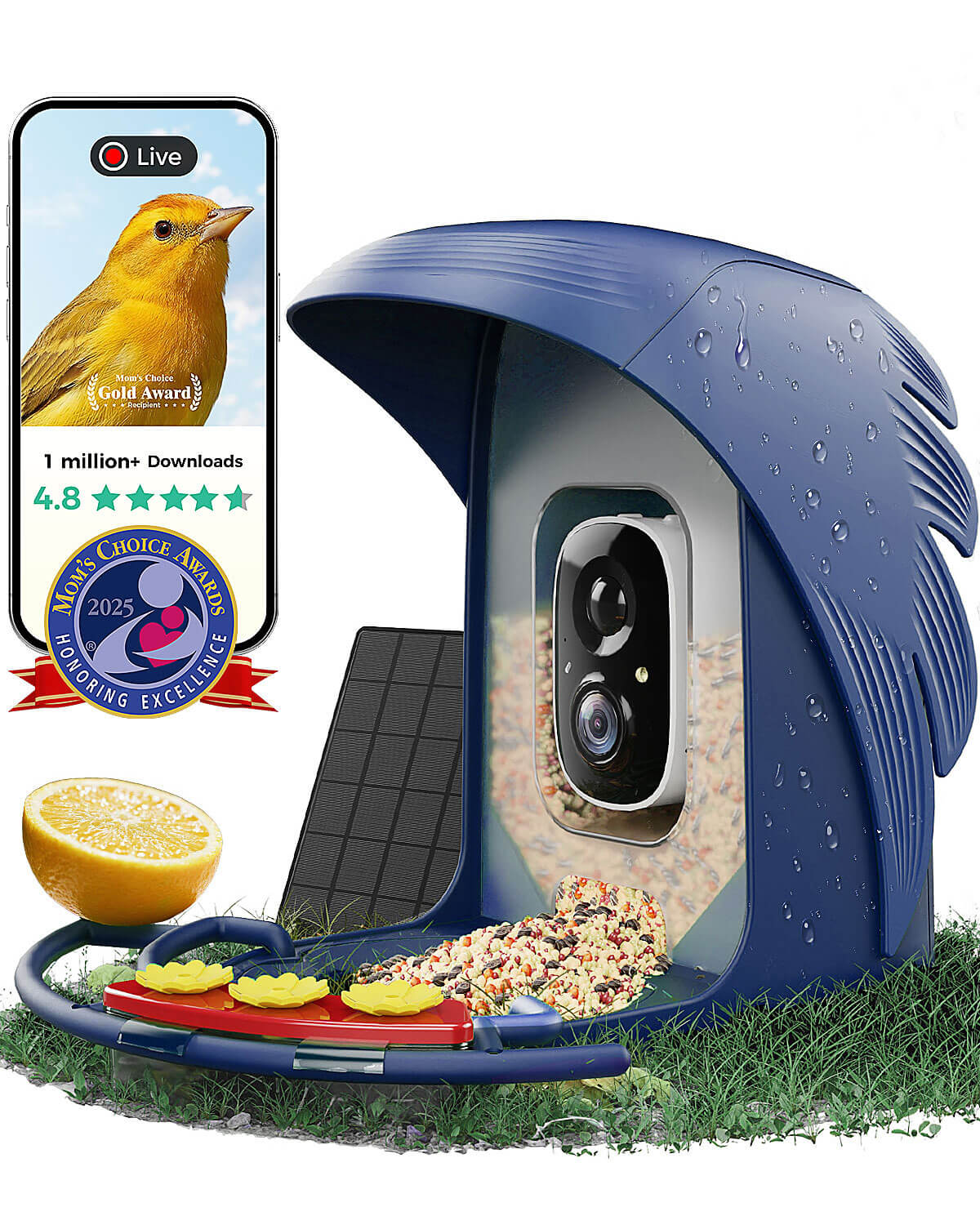 PerchMe Smart Bird Feeder - 2K AI Camera, Solar Power, Perfect Gift for Parents