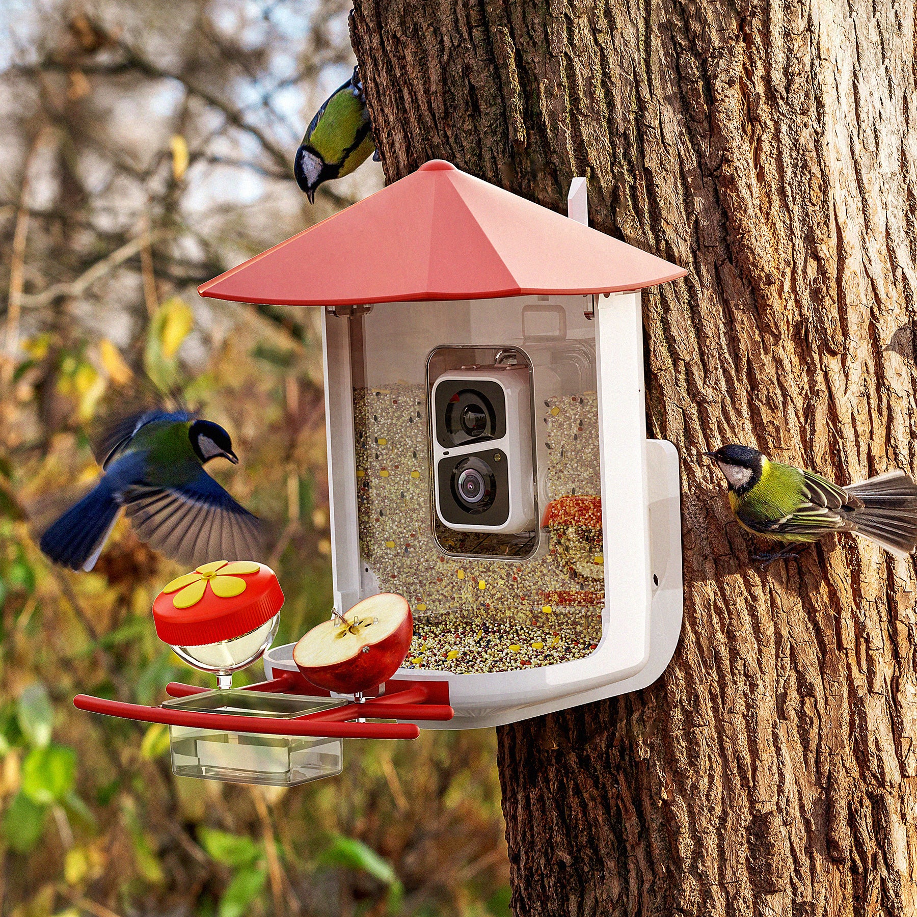 PerchMe Smart Bird Feeder with AI Camera & Solar Panel Vermillion & Azure Canopy