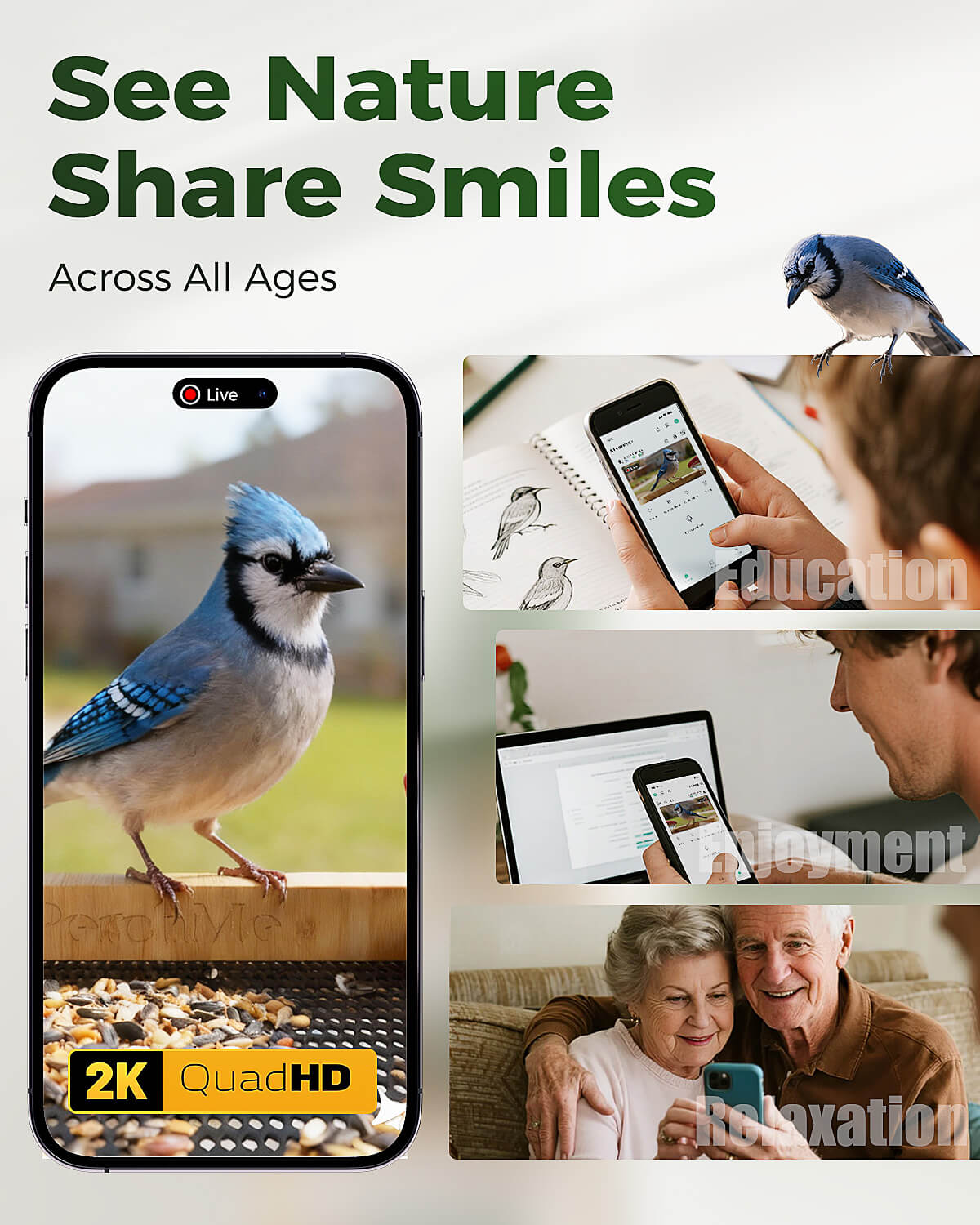 PerchMe® Bamboo Smart Bird Feeder with 2K AI Camera – FSC-Certified, Solar Powered, Eco-Friendly Gift for Bird Lovers (64G SD Card Included)