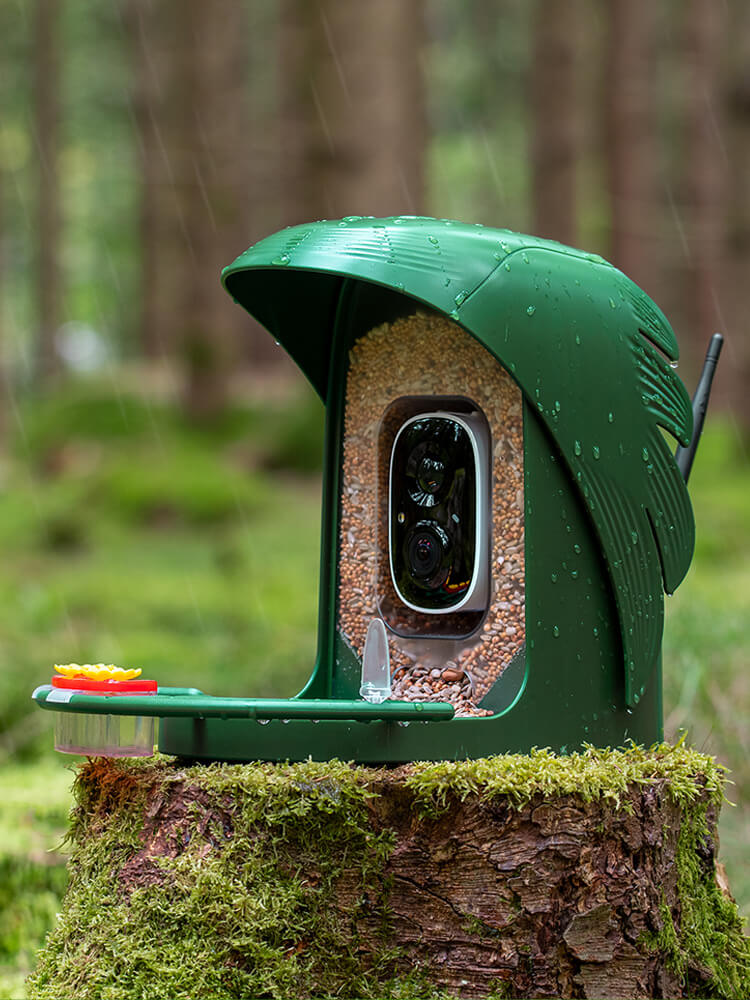 PerchMe Smart Bird Feeder with Camera, Solar Powered, AI Recognition,Great Gift for Bird Lovers