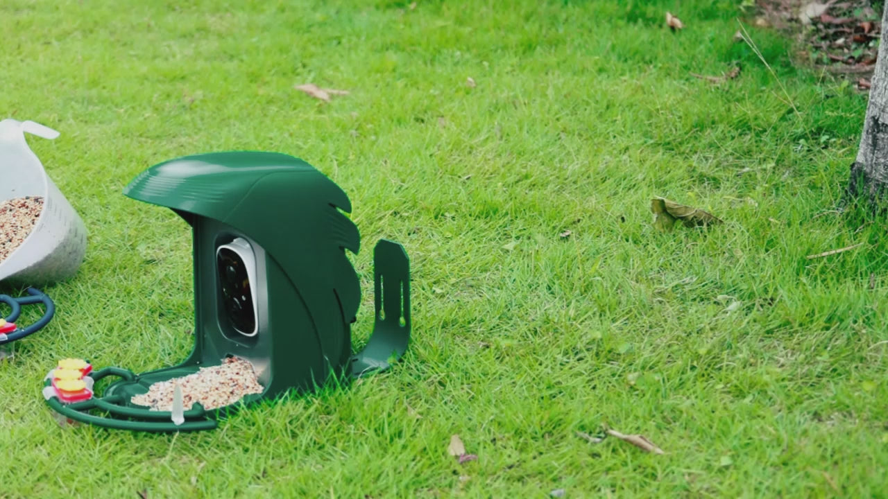 Perchme Forest Green&Navy Blue Bird Feeder Installation Video