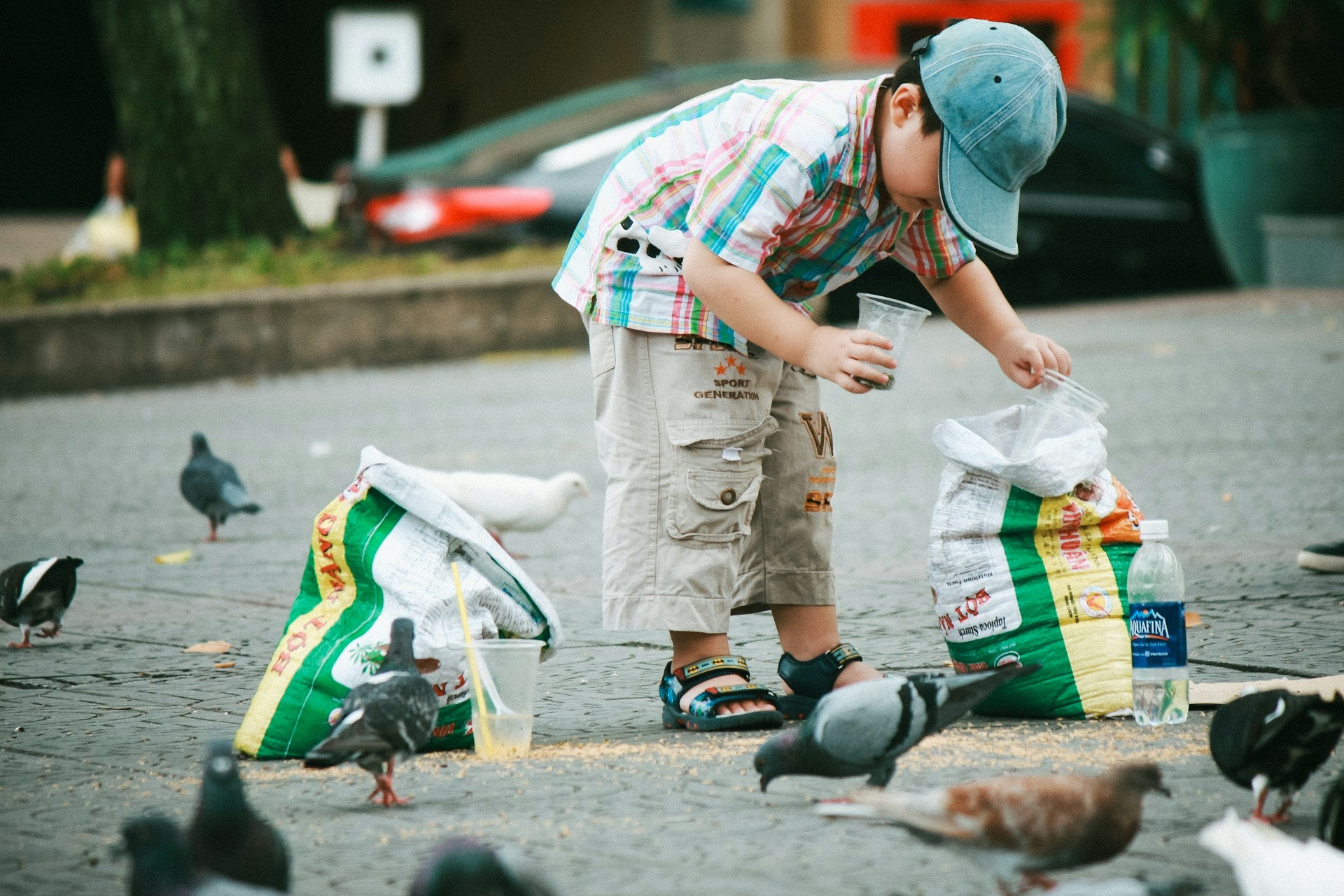 The joy of bird feeding: Bonding with birds
