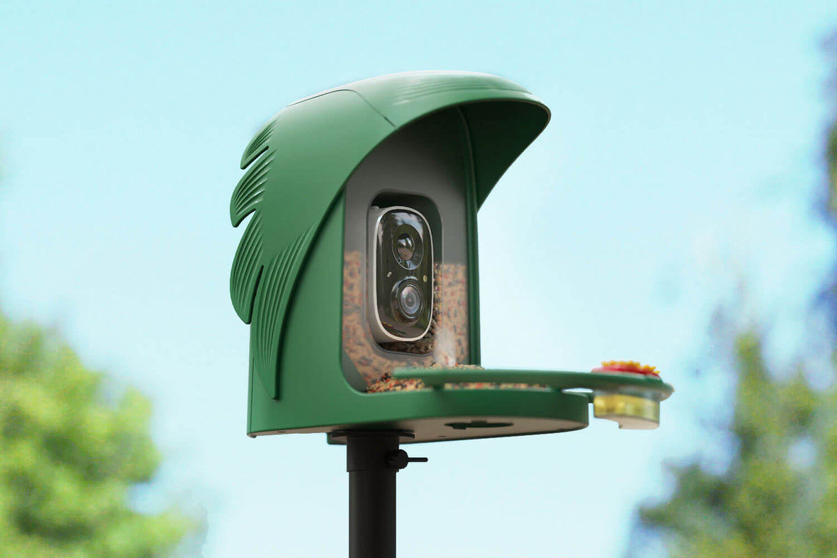 AI-Powered Bird Feeder Camera - Perfect Gift for Bird Lovers