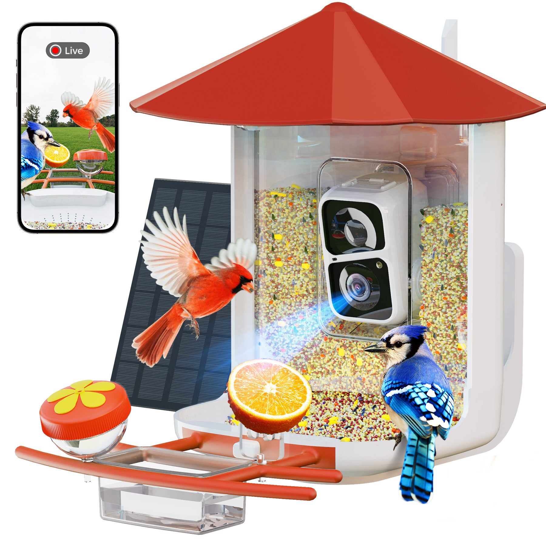 PerchMe Smart Bird Feeder with AI Camera & Solar Panel Vermilion & Azure Canopy