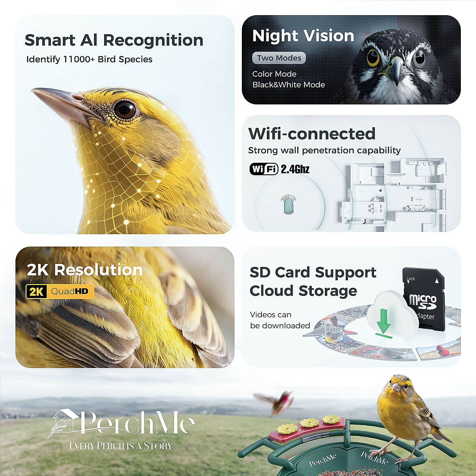 PerchMe Smart AI Bird Feeder & Adjustable Solar Panel Bracket Bundle