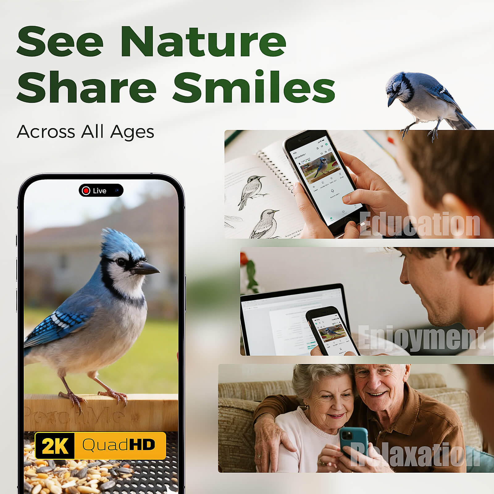 PerchMe® Bamboo Smart Bird Feeder with 2K AI Camera – FSC-Certified, Solar Powered, Eco-Friendly Gift for Bird Lovers (64G SD Card Included)