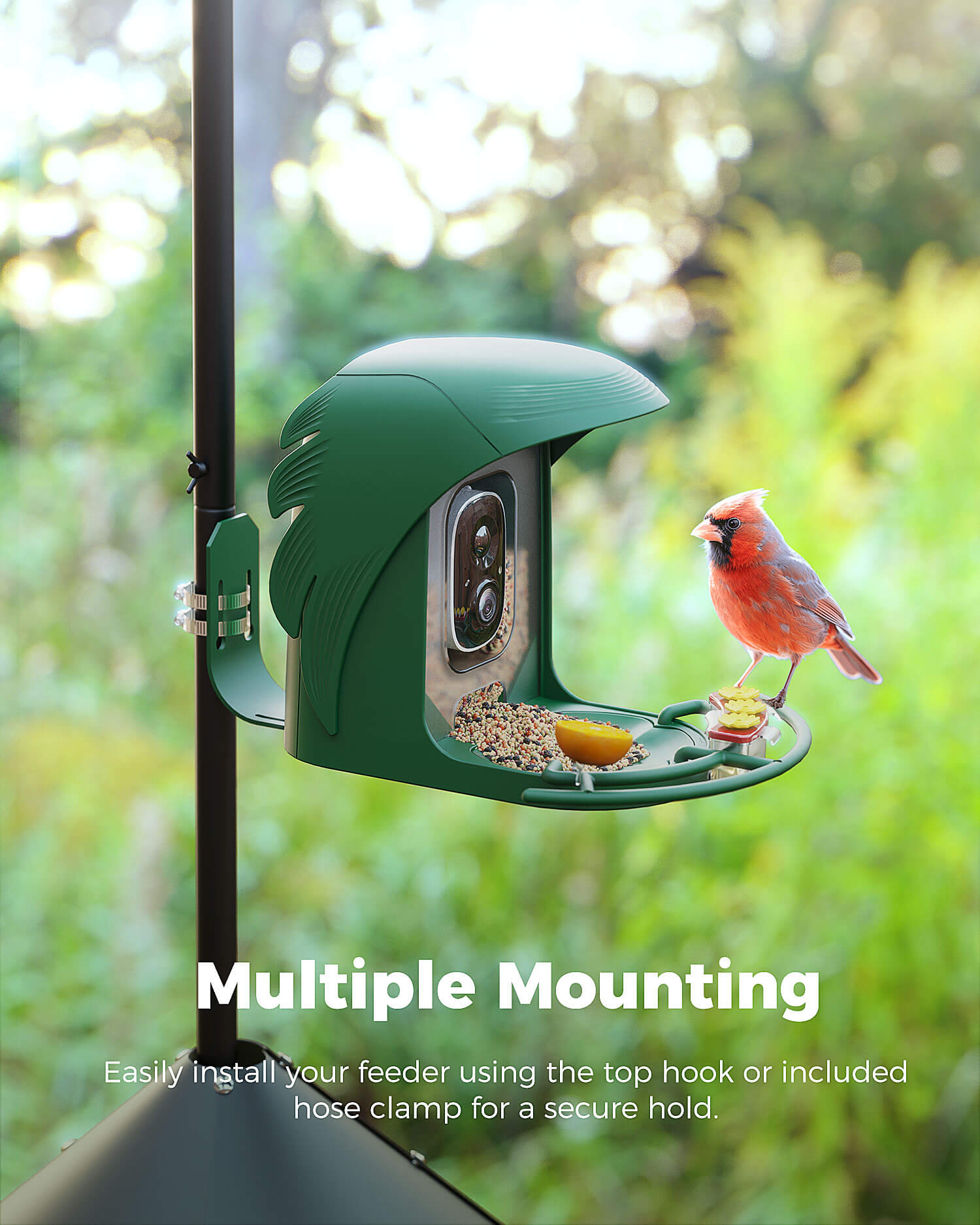 perchme Pole - Bird Feeder Pole