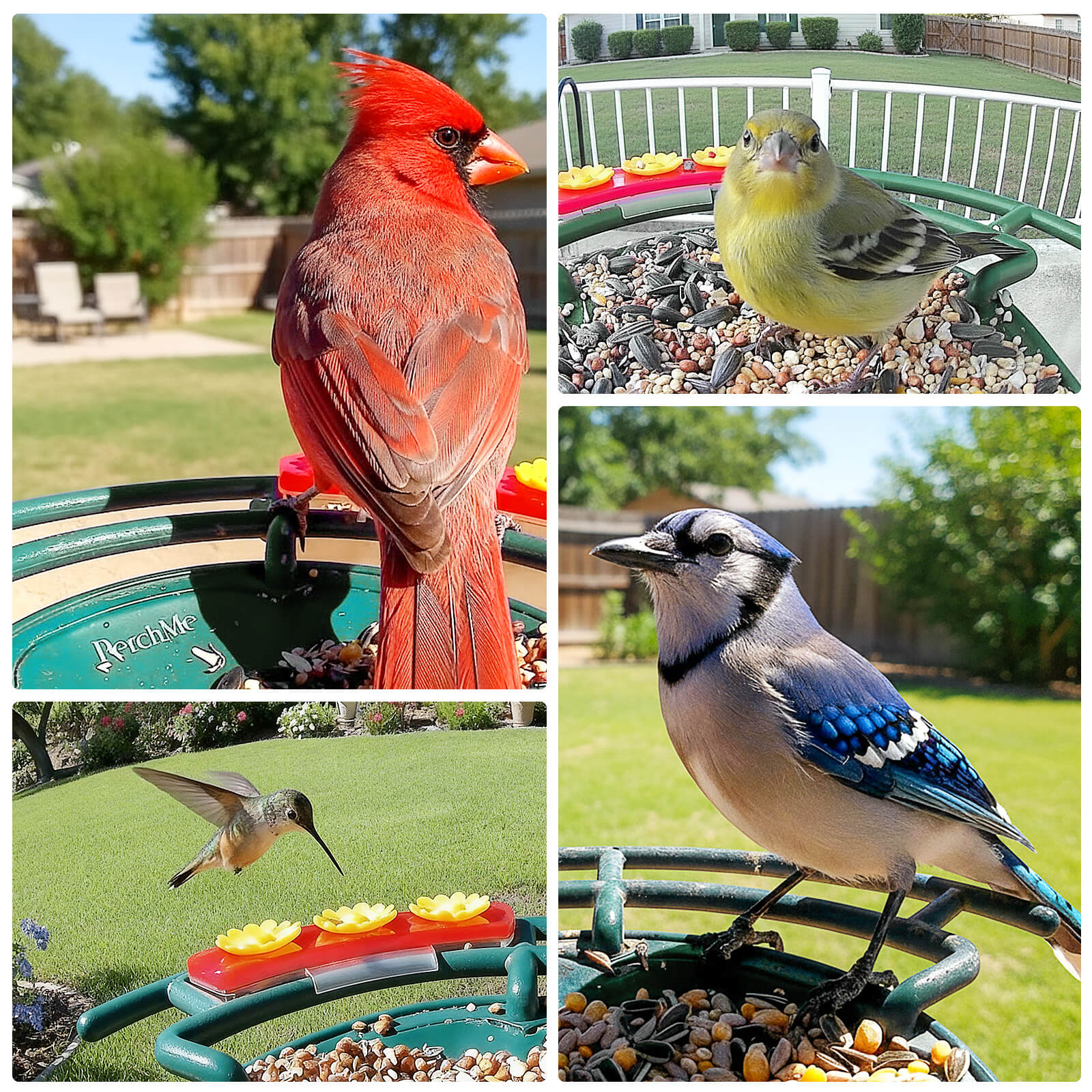 PerchMe Smart AI Bird Feeder & Pole Bundle - Solar-Powered 2K AI Camera + Heavy-Duty Adjustable Squirrel-Proof Bird Feeder Pole