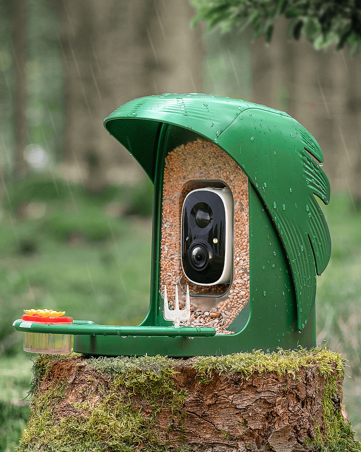 PerchMe Smart Bird Feeder with Camera, Solar Powered, AI Recognition,Great Gift for Bird Lovers