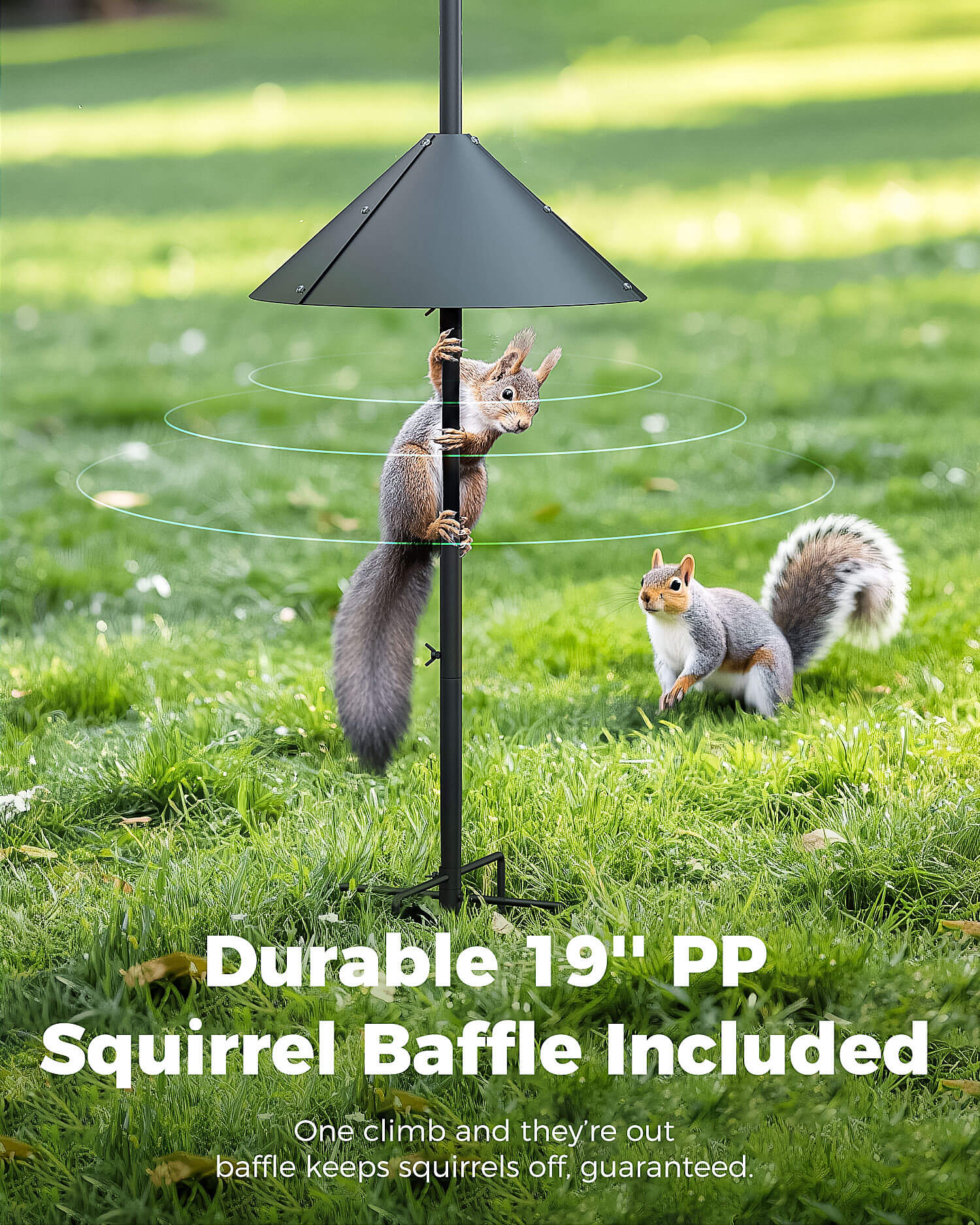 perchme Pole - Bird Feeder Pole