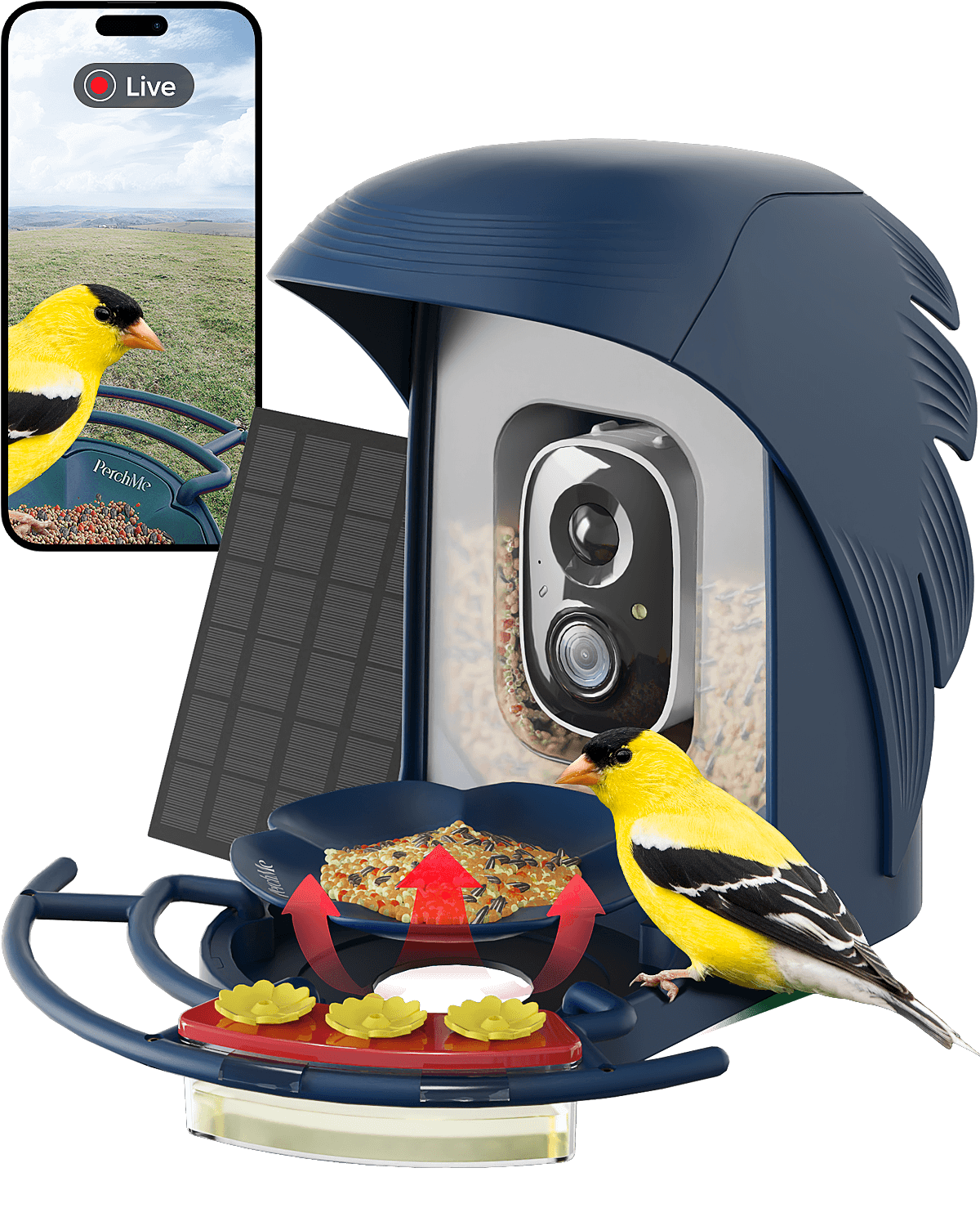 PerchMe Smart Bird Feeder with Camera, Solar Powered, AI Recognition,Great Gift for Bird Lovers