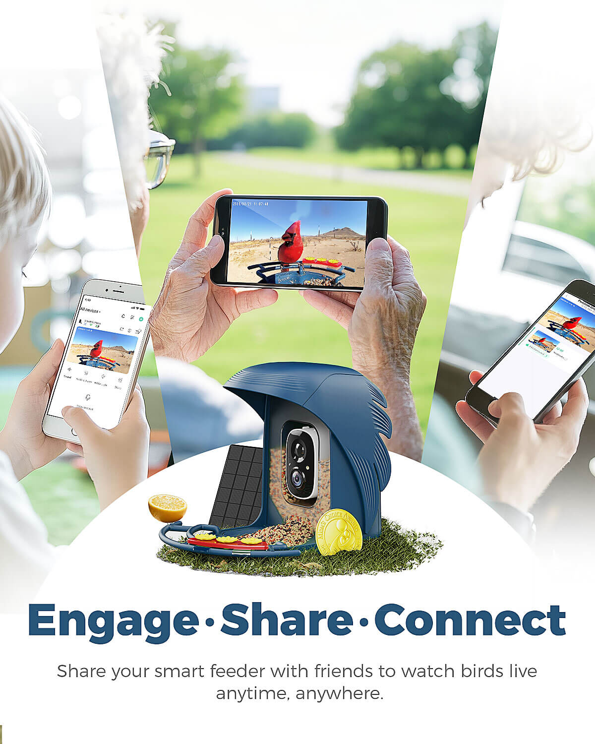 PerchMe Smart Bird Feeder with Camera,2K,AI Recognition,Solar Powered,Best Gift for Bird Lovers