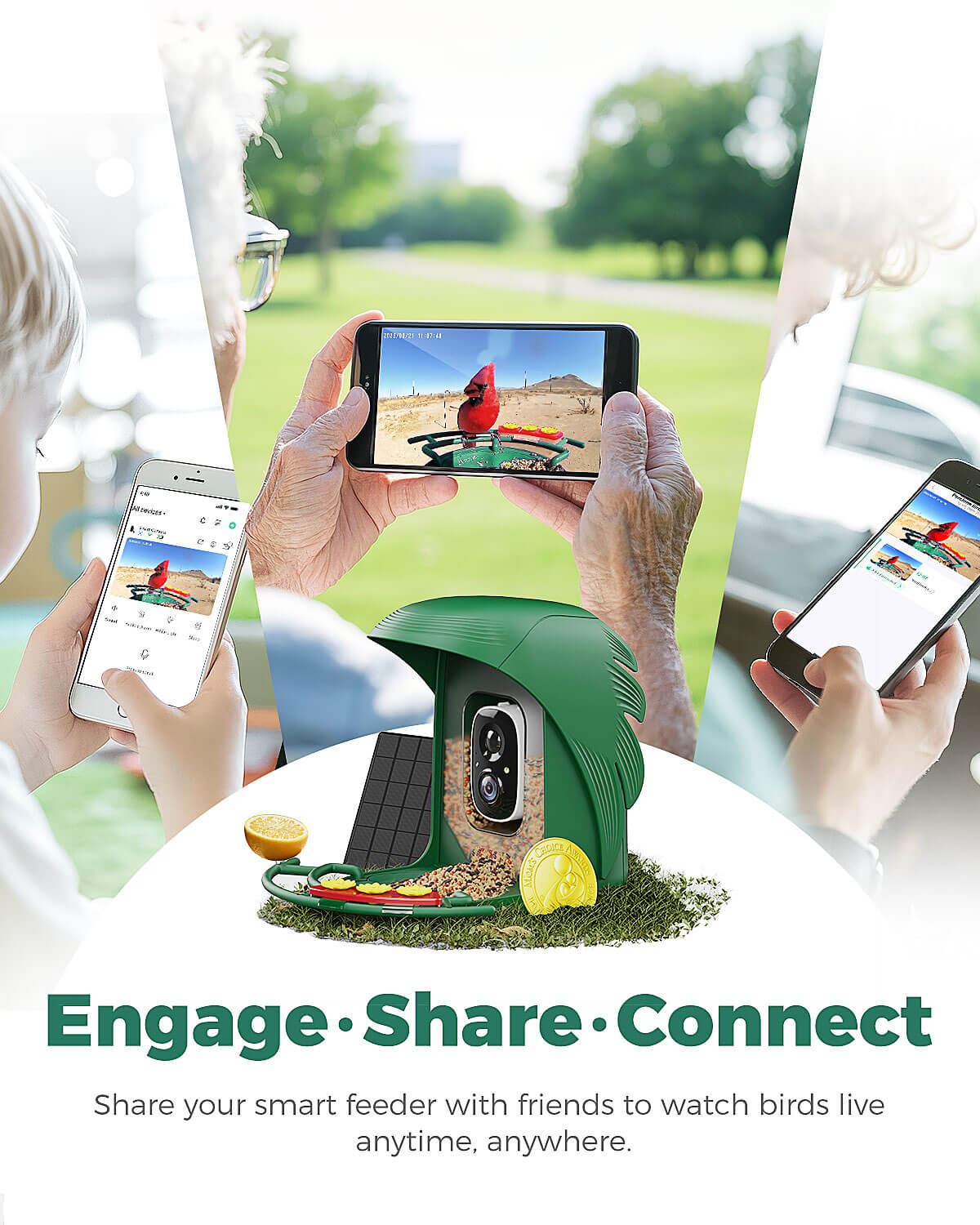 PerchMe Smart Bird Feeder with Camera,2K,AI Recognition,Solar Powered,Best Gift for Bird Lovers