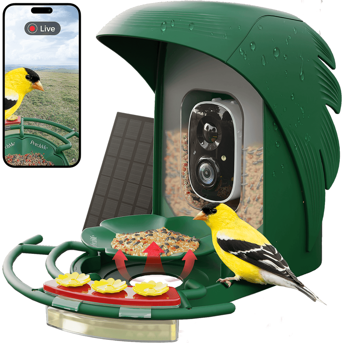 Camera Perch PerchMe Smart Bird Feeder with Camera, Solar Powered, AI Recognition,G