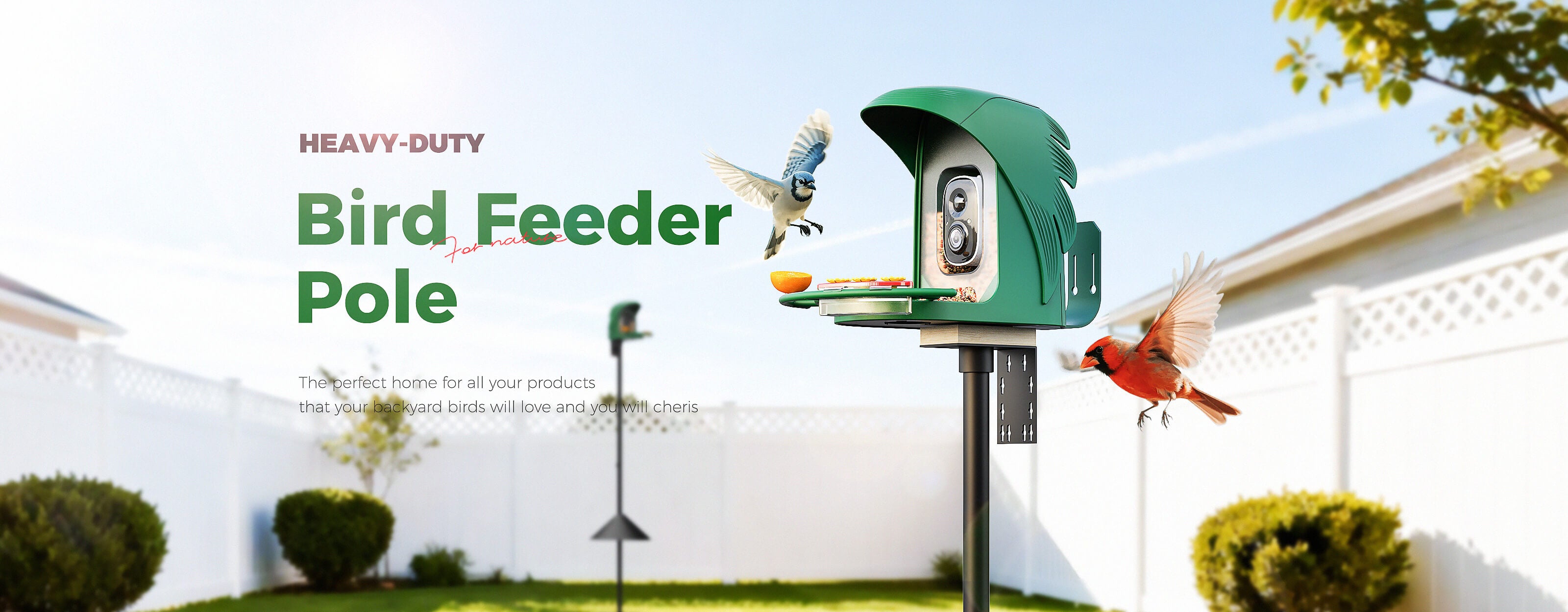 Bird feeder pole with birds perched on it against a clear blue sky.