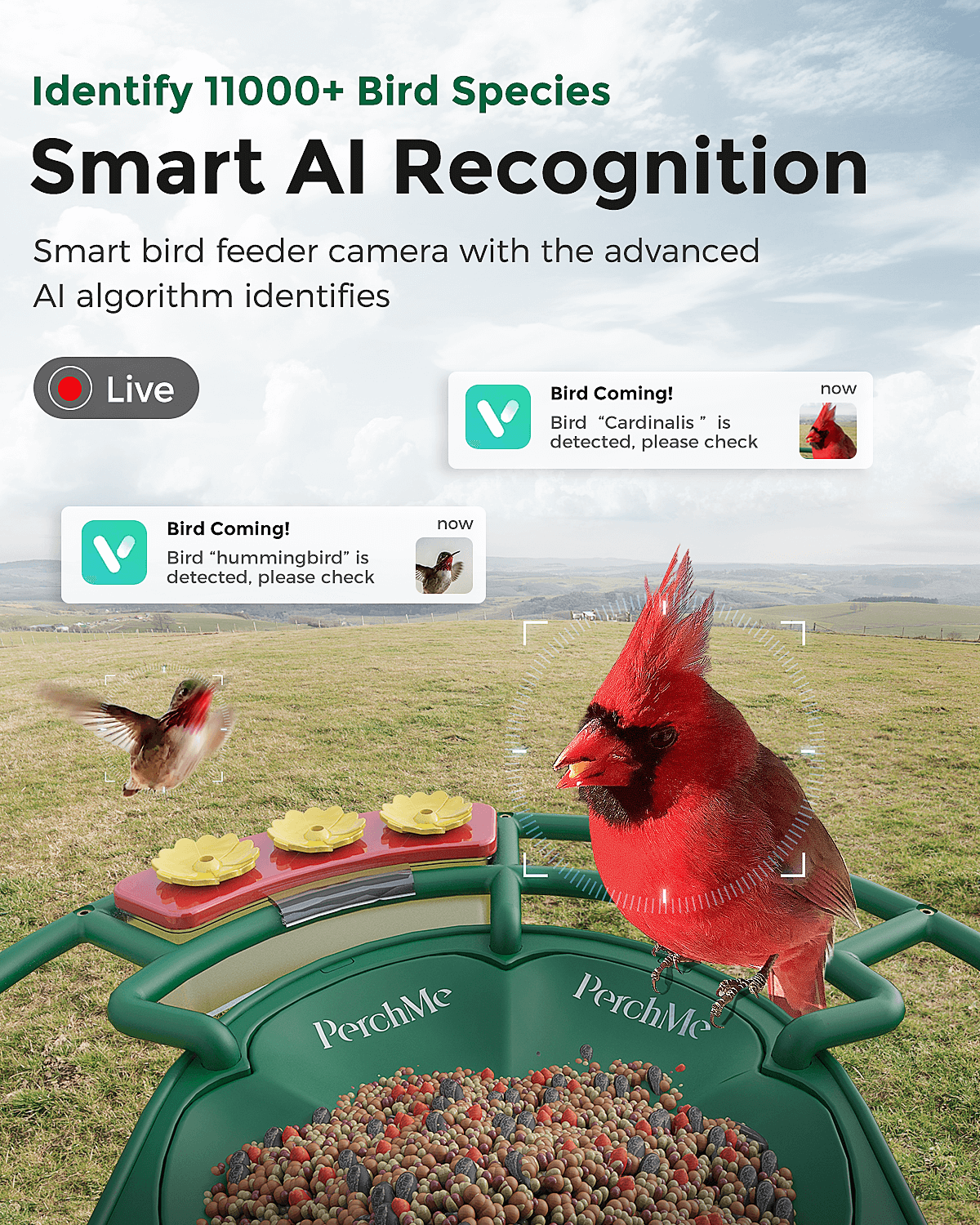 PerchMe Smart Bird Feeder with Camera, Solar Powered, AI Recognition,Great Gift for Bird Lovers