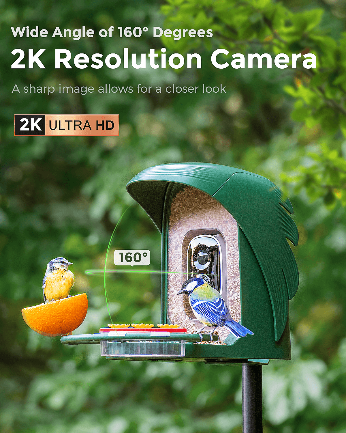 PerchMe Smart Bird Feeder with Camera, Solar Powered, AI Recognition,Great Gift for Bird Lovers