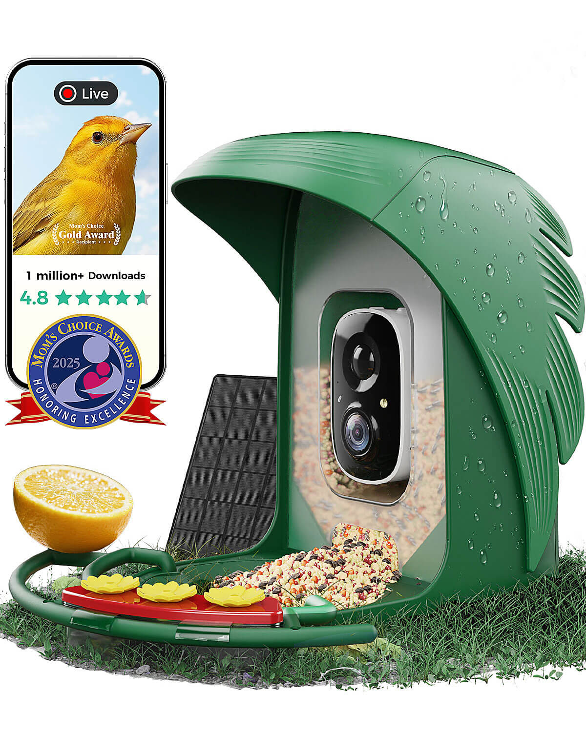 PerchMe Smart Bird Feeder with Camera,2K,Solar Powered, AI Recognition,Great Gift for Bird Lovers