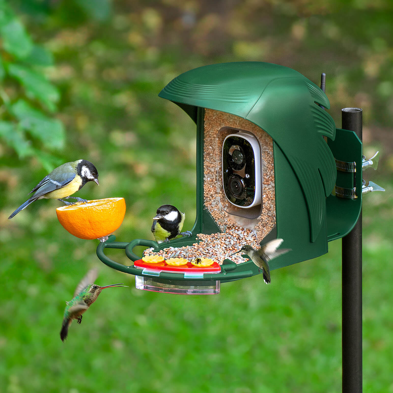 Perchme Hummingbird Feeder Perch, Compatible with Perchme, Attract Hummingbirds, Ideal Gift for Hummingbird Lovers