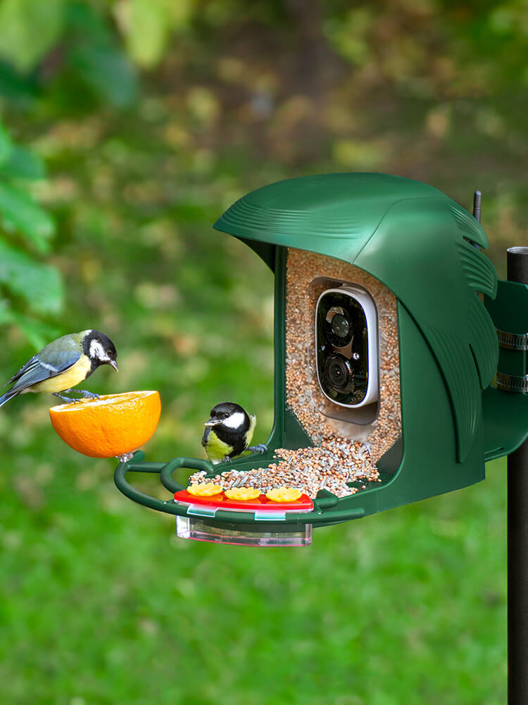 PerchMe Smart Bird Feeder with Camera,AI Recognition,Solar Powered,Best Gift for Bird Lovers