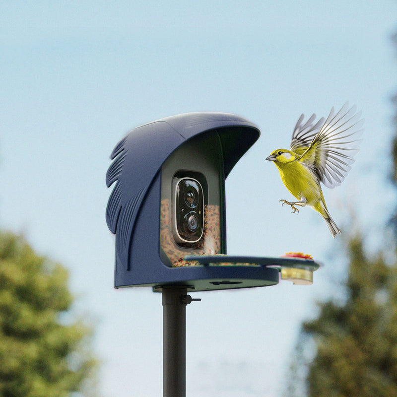 PerchMe – Every Perch Tells a Story | Smart AI Bird Feeder Camera