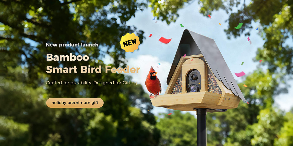 PerchMe – Every Perch Tells a Story | Smart AI Bird Feeder Camera
